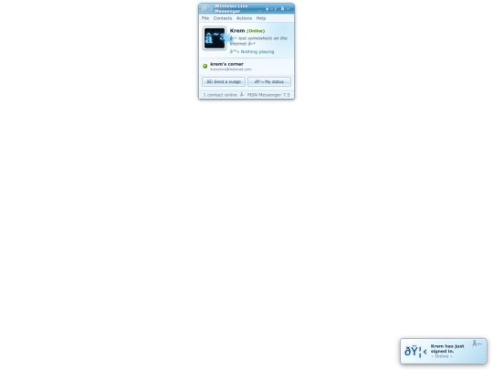 gadgets/msn-profile screenshot
