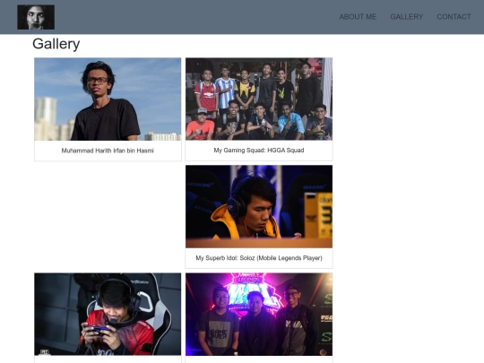 gallery screenshot