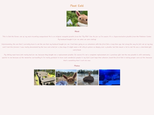 diary/eevee screenshot