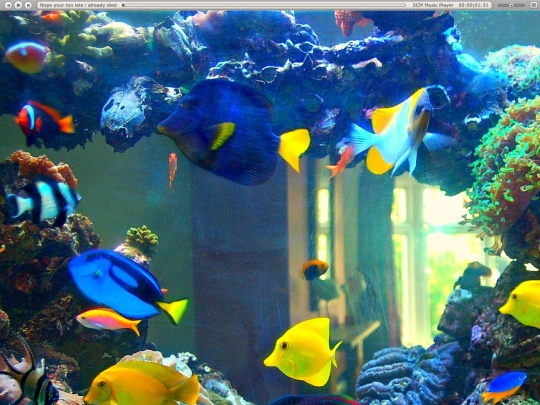 aquarium2 screenshot