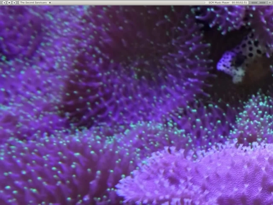aquarium3 screenshot