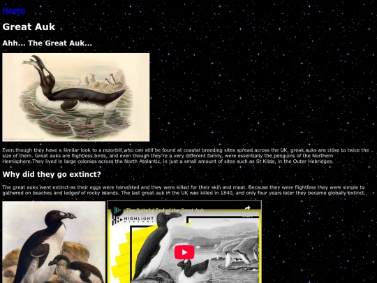 great_auk screenshot