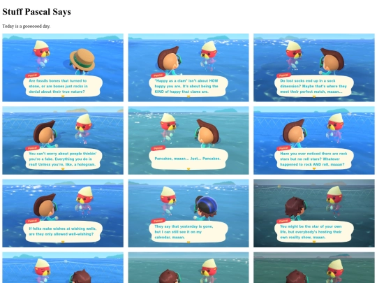 pascal screenshot