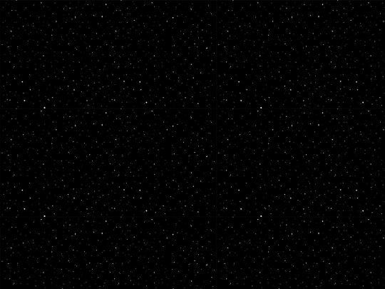 kittycatcat screenshot