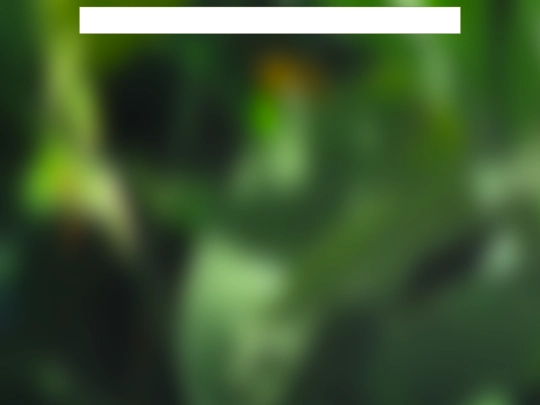 liverponies/post_template screenshot