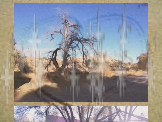 cayennade screenshot
