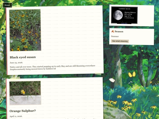 touchgrass screenshot