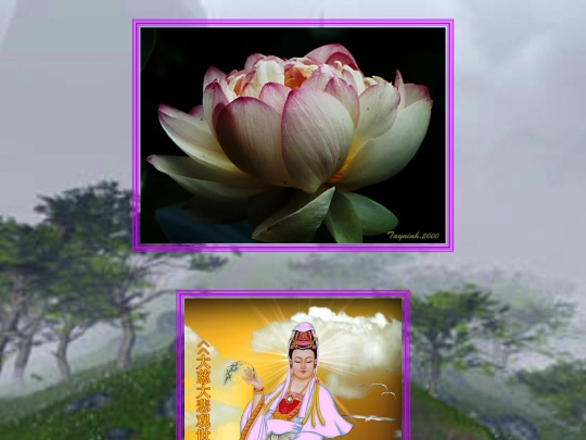 Compassion/Page 2/bladzij 2 screenshot