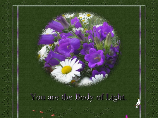 Extra_4/Body/2 screenshot
