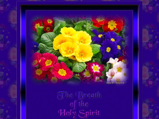 Extra_5/Holy_Breath screenshot