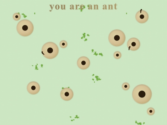 anthill