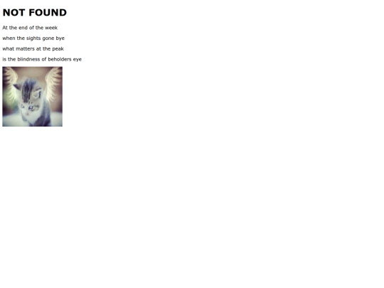 not_found screenshot