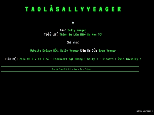 Sally Deface screenshot