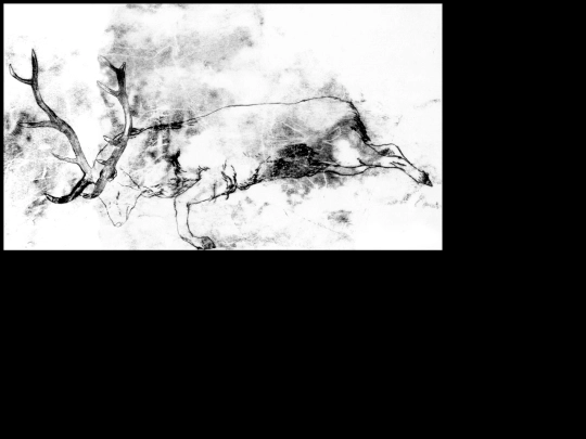 dessins screenshot