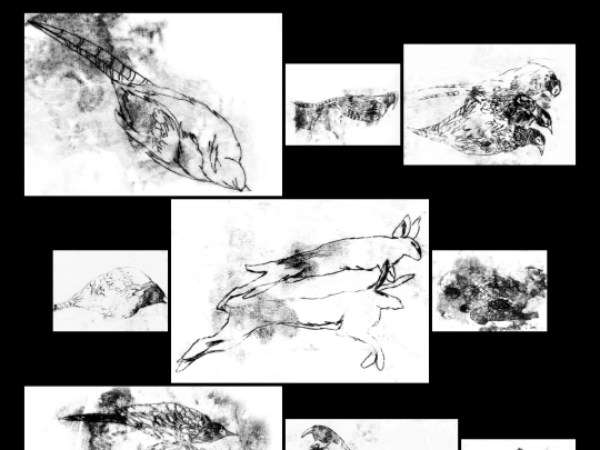tableau_chasse screenshot
