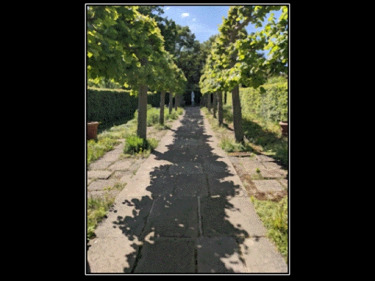 explore/statuepath screenshot