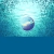 fish crime zone avatar