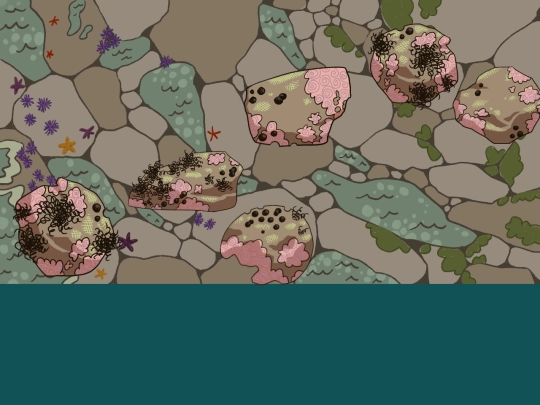 intertidalfishesproject/rockflipper screenshot