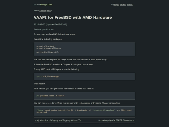 blog/tech/freebsd-vaapi screenshot
