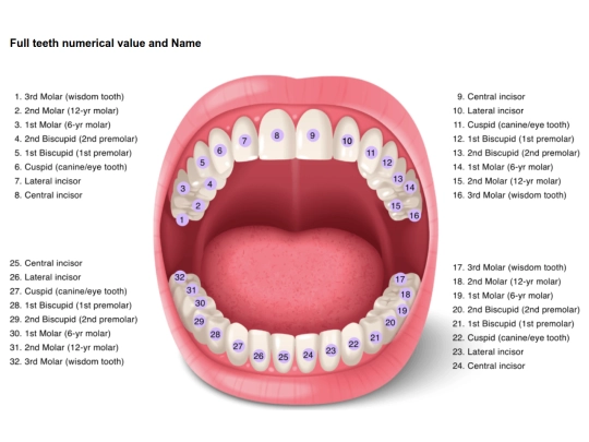 sub/teeth screenshot