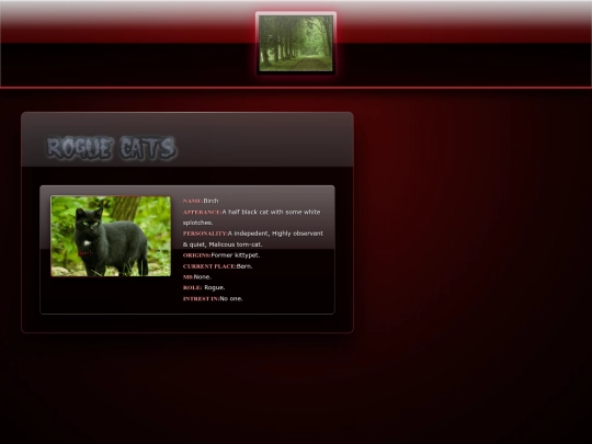 rogues screenshot