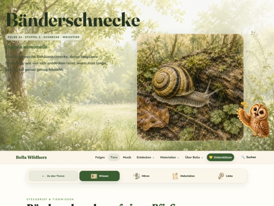 Tiere/baenderschnecke screenshot