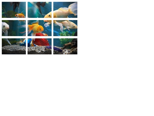 annaspuzzle screenshot