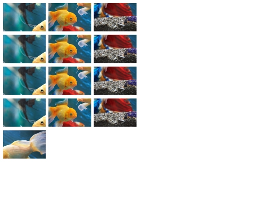 haydensfish screenshot