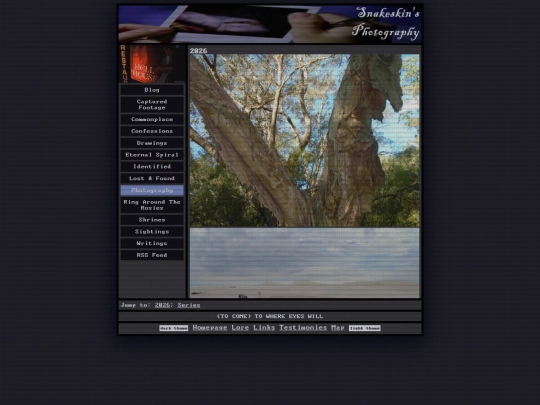 photography screenshot