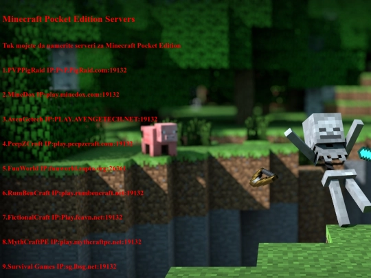 servers screenshot