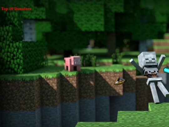 topdonators screenshot