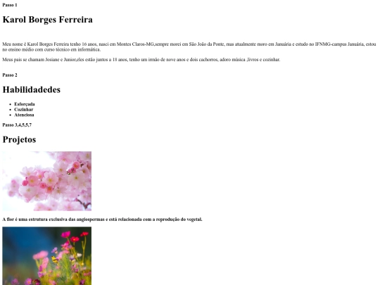 atividade6 screenshot