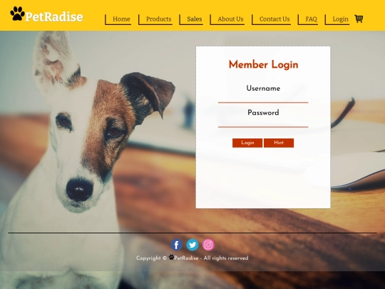 login screenshot