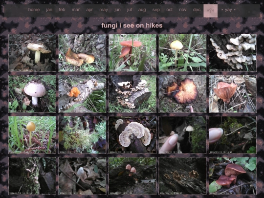 fung screenshot