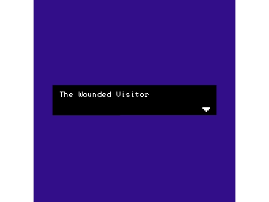 Drafts/TheWoundedVisitorPOC.html/the_wounded_visitor_pg__pg_most_ screenshot
