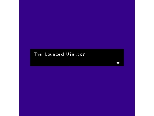 Drafts/VisitorDraft.html/the_wounded_visitor_pg__pg_most_ (1) screenshot