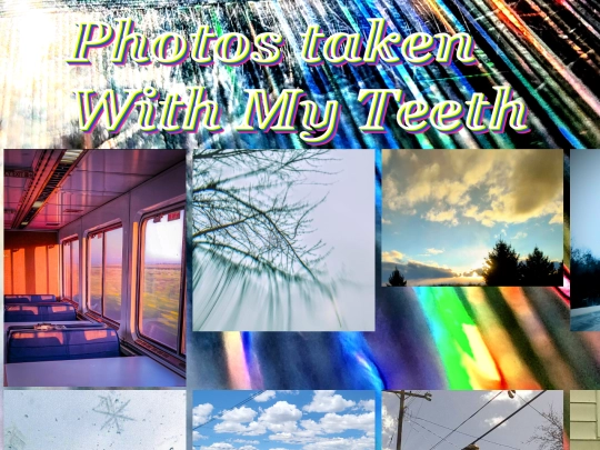 photoghraphy/photos screenshot