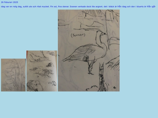 25-26feb2025 screenshot