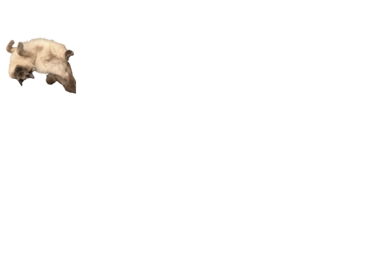 testing/wilburhovertest screenshot