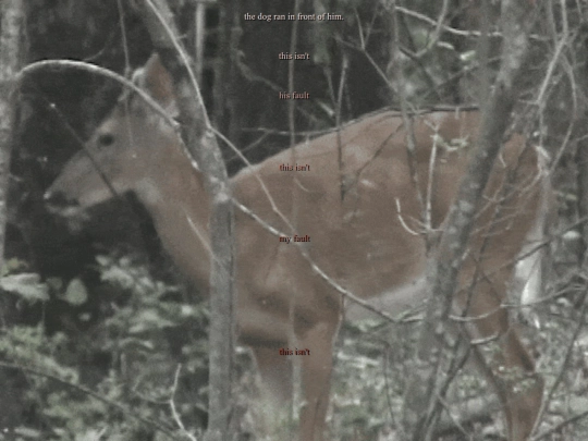 doe screenshot