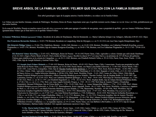 Felmer screenshot