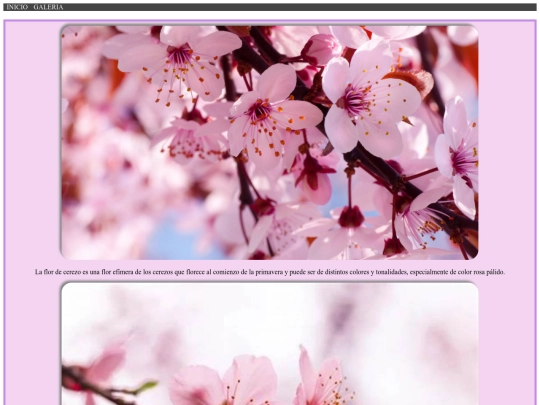 pag/PAG666 screenshot
