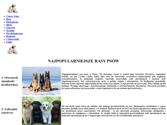 rasy screenshot