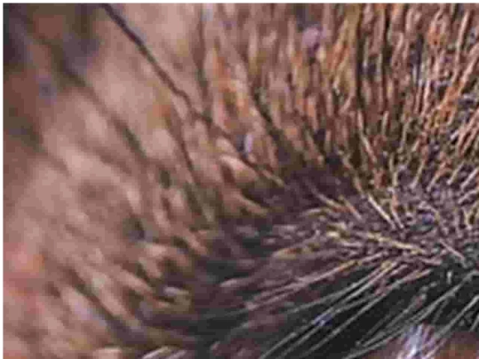 Webpages/fiction_stories/Communion_Series/20250605_The_Eyesight_Test screenshot