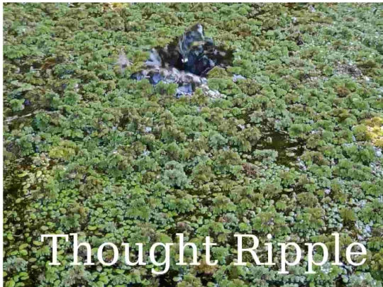 Webpages/fiction_stories/ascension_series/Quantum_Thought_Experiments_Series/20260715_Thought_Ripple screenshot