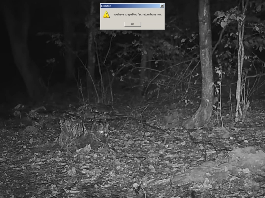 nest screenshot
