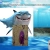THE LIFE OF THE FISH avatar