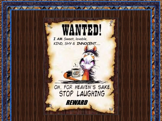 tourneypages/wanted screenshot