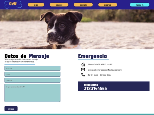 contacto screenshot