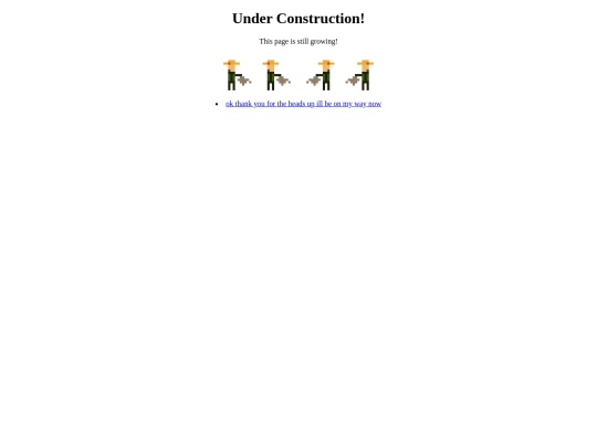 construction screenshot